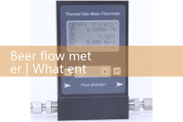 Beer flow meter